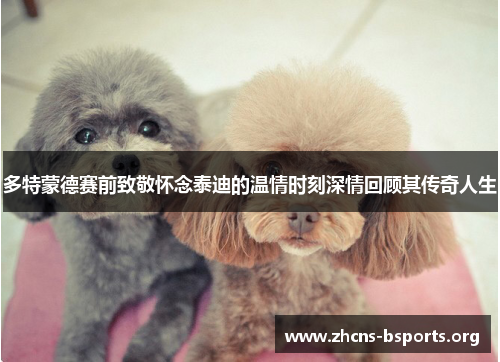 多特蒙德赛前致敬怀念泰迪的温情时刻深情回顾其传奇人生